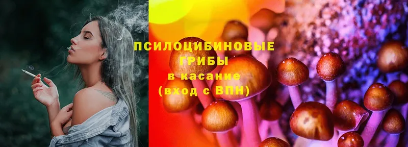 Псилоцибиновые грибы мухоморы  Княгинино 